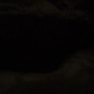 Meet your Posher, Esmeralda